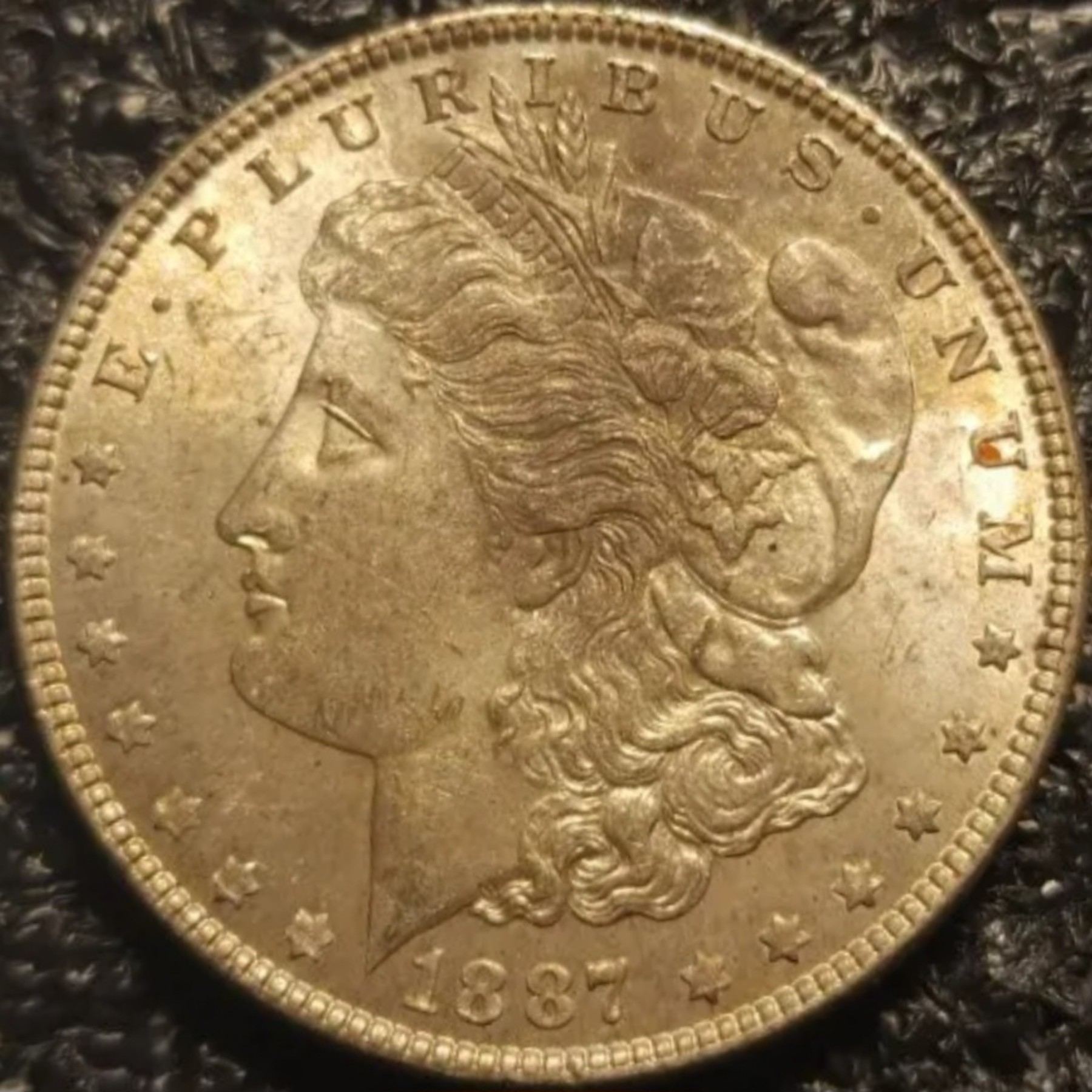 1887-$1-Morgan-Dollar-#14